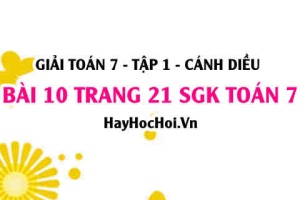 Giải bài 10 trang 21 Toán 7 Tập 1 SGK Cánh Diều